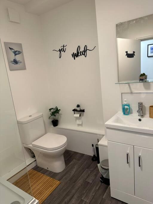 Cosy Authentic Flat In The Heart Of Galashiels Zewnętrze zdjęcie